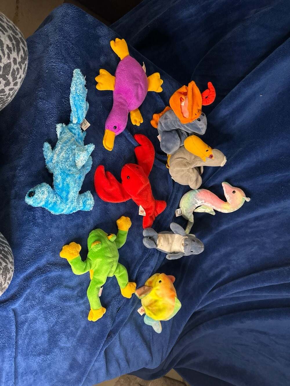 Lot of 9 Ty Beanie Babies Aquatic & Bird Collection: Patti, Pinchers, Smoochy, N
